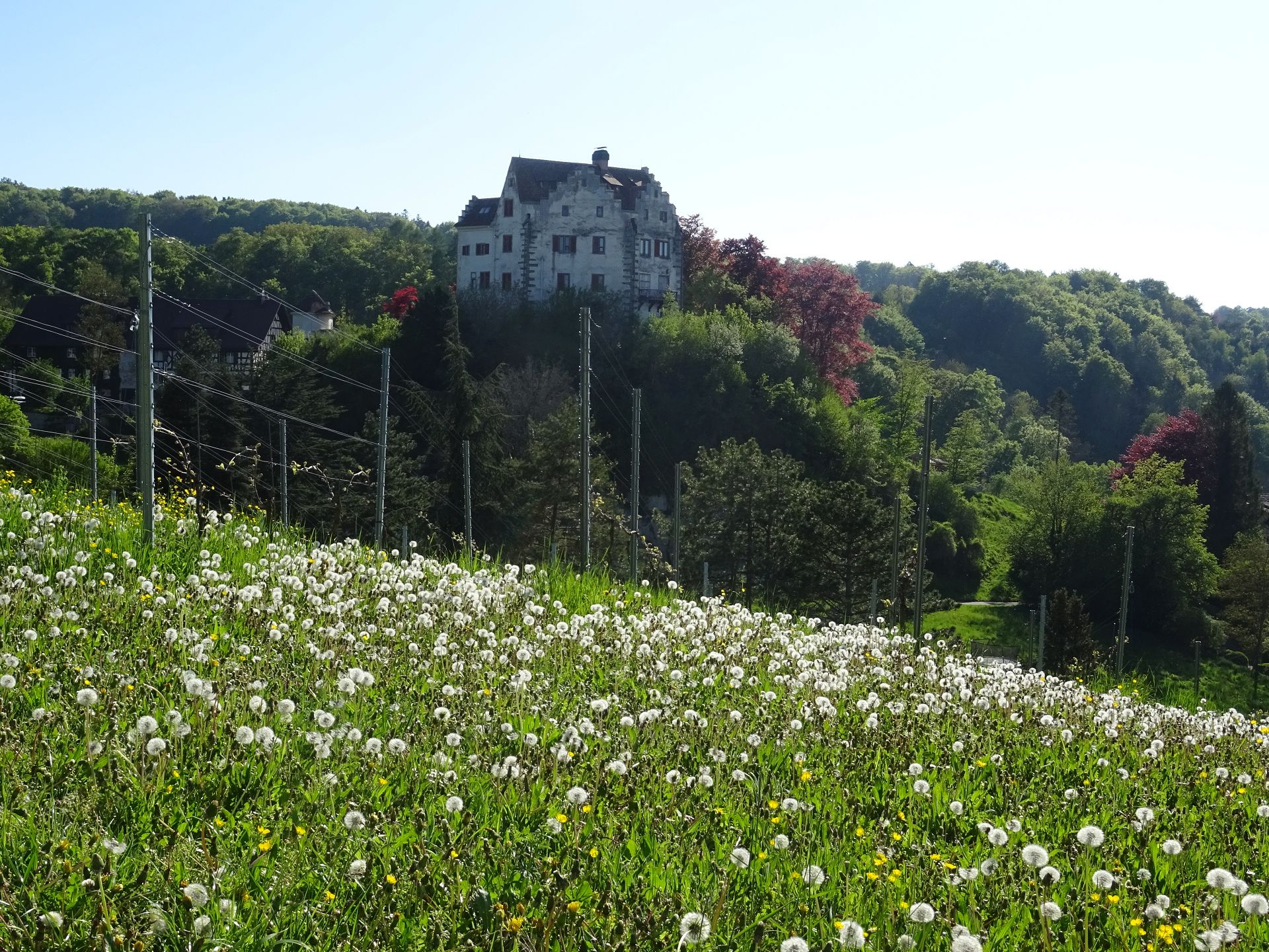 Salenstein Castle
